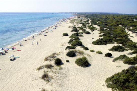 Felline In Bed&Breakfast Dimora Di Charme El Salento Екстериор снимка